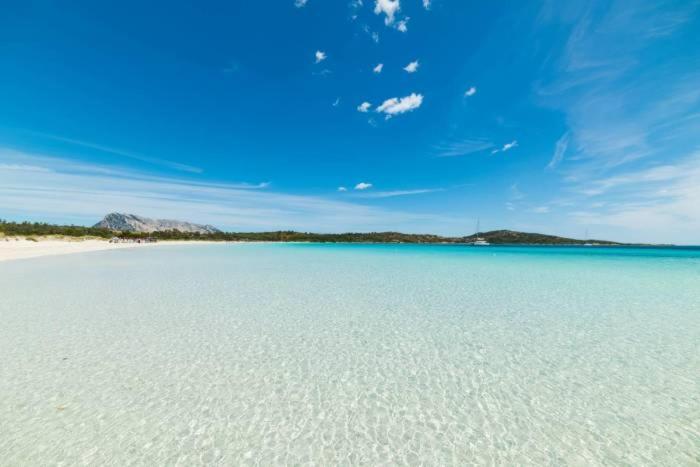 Marina Of Olbia Apartment Dış mekan fotoğraf